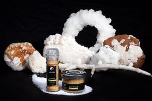 1267474_400600976730144_1949516470_o[1]