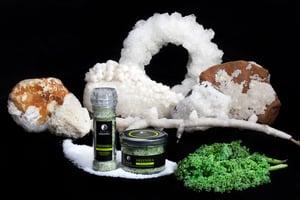 1421143_434050696718505_753248167_o[1]